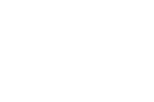 4G